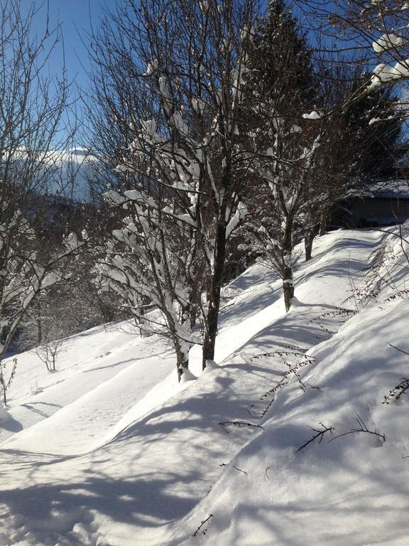 Chalet Eterlou Megevette Екстер'єр фото