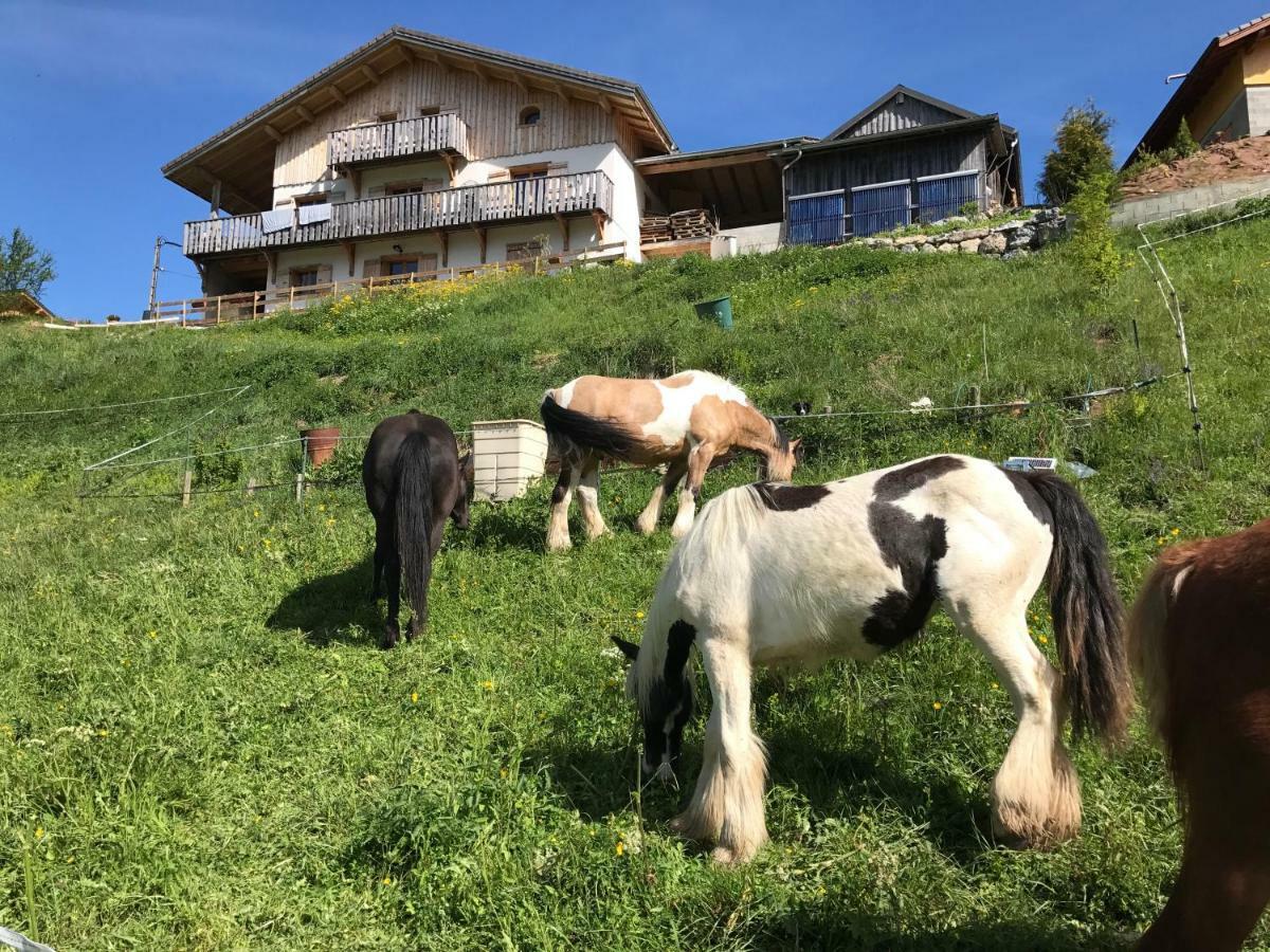 Chalet Eterlou Megevette Екстер'єр фото